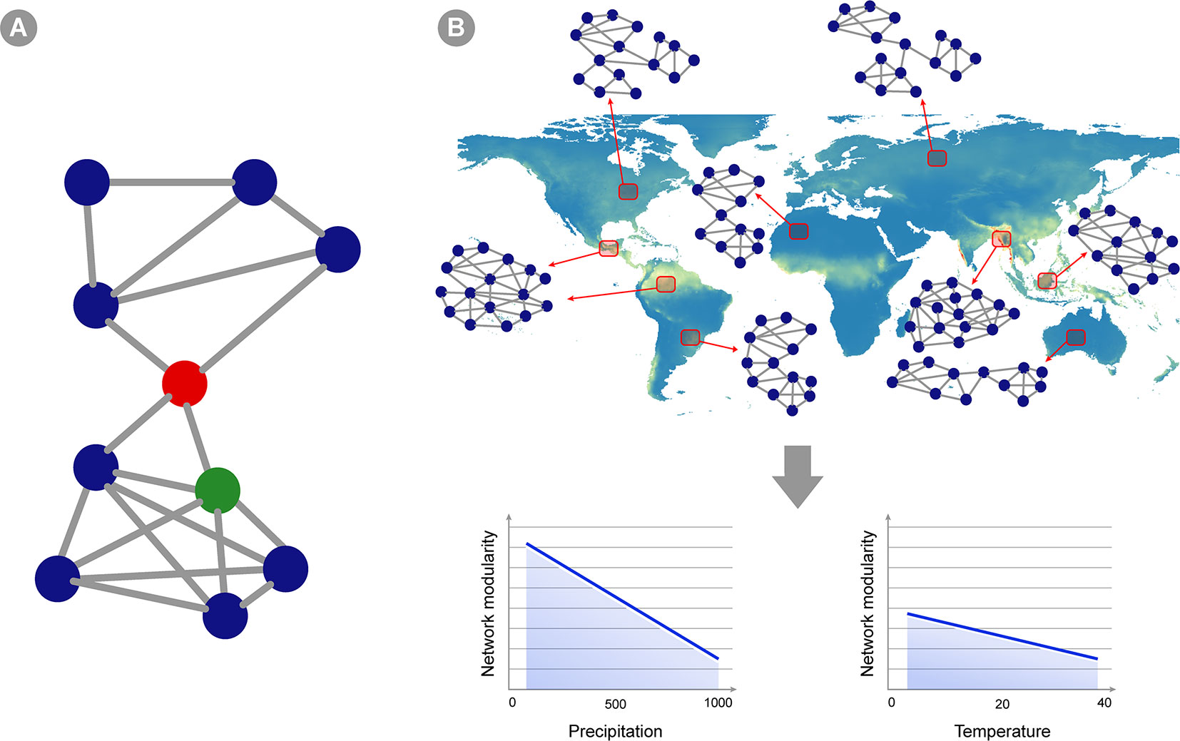Microbial interaction networks